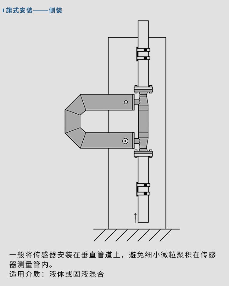 高粘度質量流量計垂直安裝示意圖