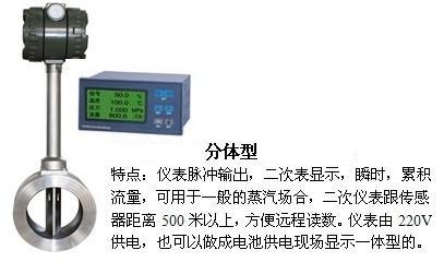 高溫渦街流量計(jì)分體型產(chǎn)品圖