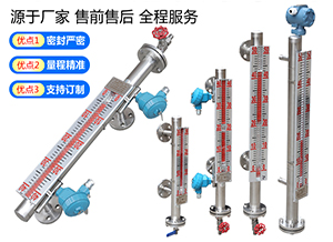 防腐磁翻板液位計